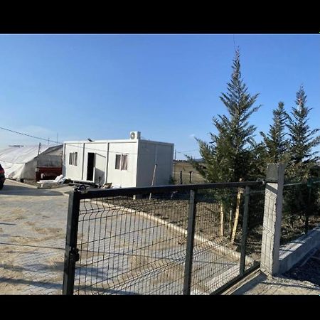 Mahane Camping Hamallaj Exteriér fotografie