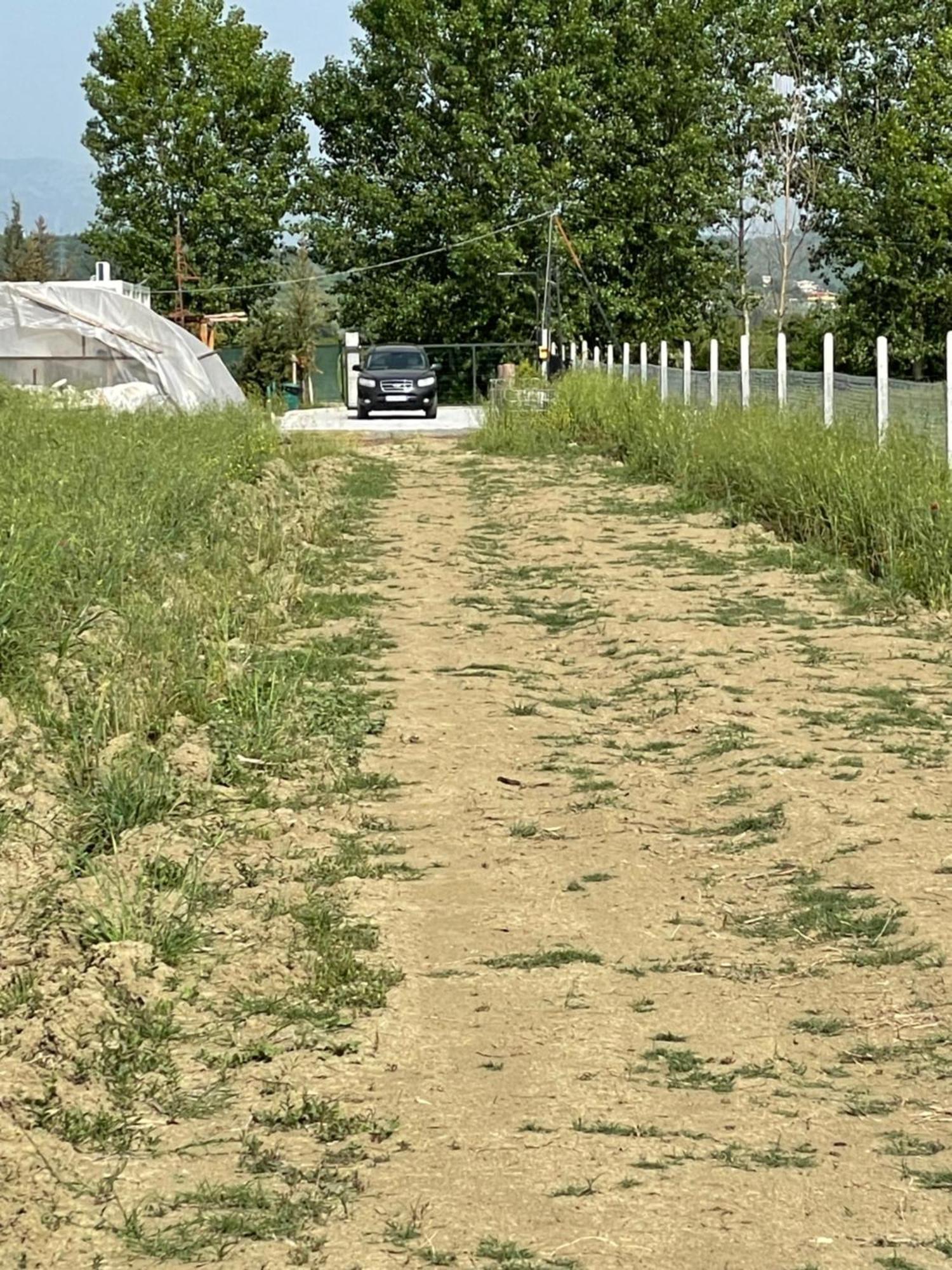 Mahane Camping Hamallaj Exteriér fotografie