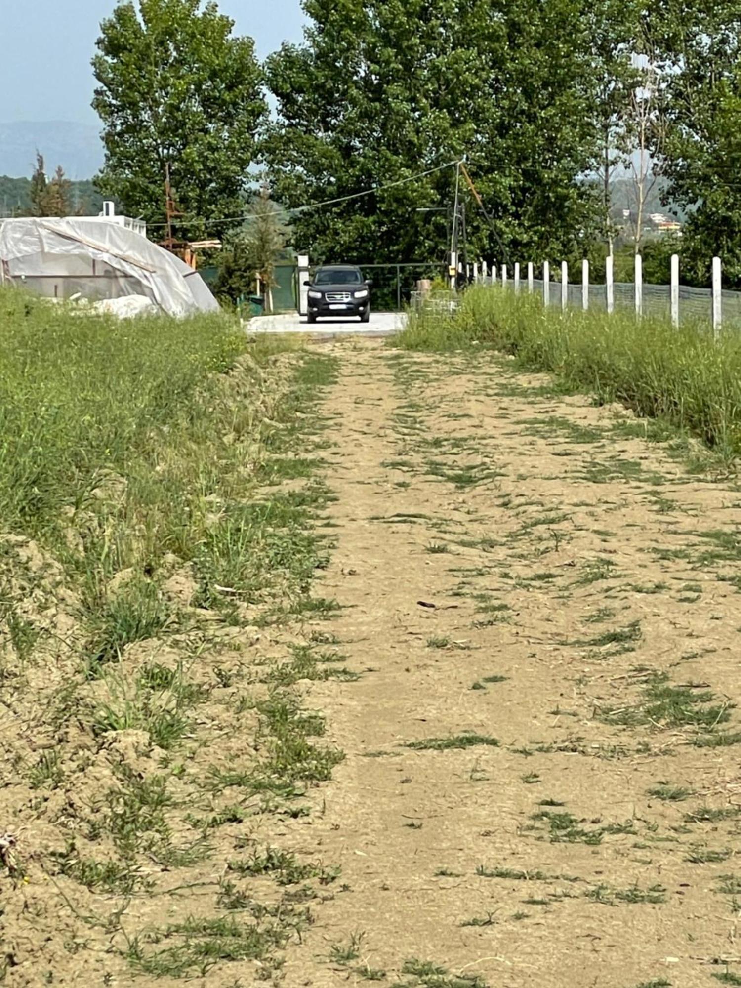 Mahane Camping Hamallaj Exteriér fotografie